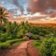 Seasonal Rental Opportunities in Papua New Guinea