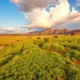 Networking in Kenya as an Expat: A Practical Guide to Carving Your Place in the Professional World