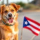 Moving to Puerto Rico with Your Pet: Procedures, Costs, and Daily Life