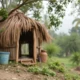 Relocating to Bangladesh as an Expat: A Complete Guide to Daily Life, from Visas to Cost of Living