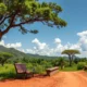 Moving to Gabon as an Expat: The Complete Guide
