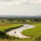 Moving to Malawi as an Expat: The Complete Guide to Preparing for Your New Life