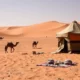 Settling in Western Sahara as an Expat: A Complete Practical Guide