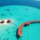 Moving to the Maldives as an Expat: The Complete Guide
