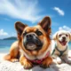 Moving to Micronesia with Your Pet: The Complete Guide