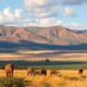 Managing Homesickness in Kenya: A Practical Guide to Settling In Without Losing Yourself