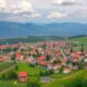 The Serbian Consumer Market: A Landscape Strained by Inflation, Digitalization, and the Pursuit of Quality