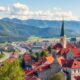 Moving to Slovakia with Pets: Procedures, On-the-Ground Reality, and Practical Advice