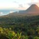 Job Opportunities for Expatriates in Costa Rica’s Labor Market