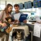 Moving to Saint Vincent and the Grenadines with Pets: Procedures and Practical Advice