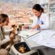 Moving to Bolivia with Pets: Procedures and Practical Advice