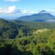 International Tax Law: Costa Rica-Country of Origin Agreements