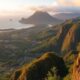Moving to Costa Rica with Pets: Procedures & Advice