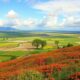Investing in Irish Real Estate: An Expat’s Guide