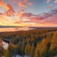 Top 10 Apps for Seasonal Rentals in Finland