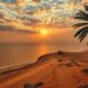 Real Estate Auctions in Senegal