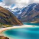 Moving to New Zealand with Pets: Tips and Procedures