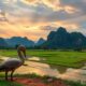 Healthcare for Expats in Laos
