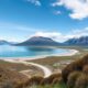 E-commerce Trends in New Zealand