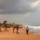 Luxury Real Estate in Senegal: Expectations of Female Clients
