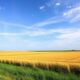 Iowa Real Estate: Trends and Outlook 2025