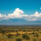 Pros and Cons of Expatriation in Madagascar