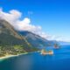 Ideal Legal Structure for Your Business in New Zealand