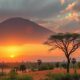 Foreign Ownership in Madagascar: Key Regulations