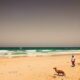 Impact of Digital Nomads on Senegal’s Rental Market