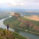 Expatriation with Pets to Paraguay: Tips and Procedures