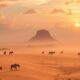 Job Opportunities for Expats in Madagascar
