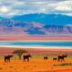 Staying Connected with Loved Ones from Madagascar