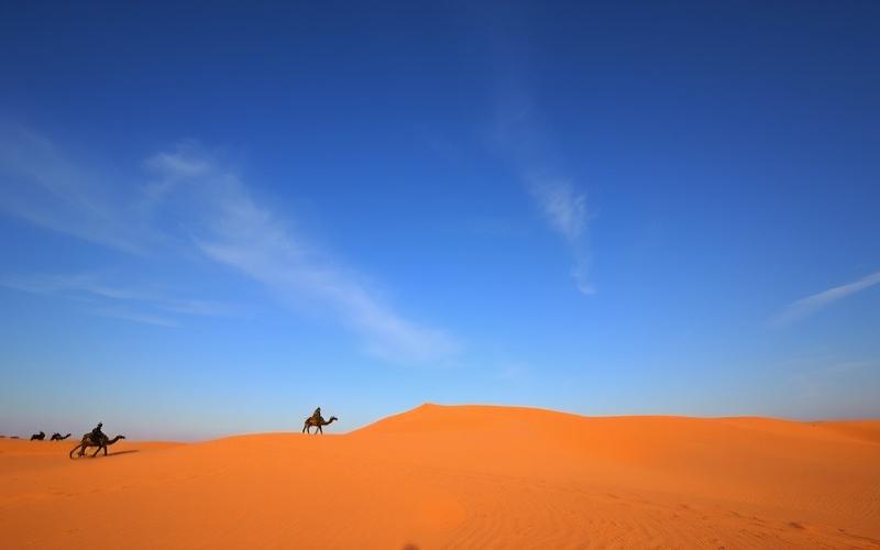 Concierge Services for Luxury Real Estate in Senegal