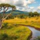 Tips for Finding Housing in Madagascar