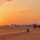 Top Local Real Estate Agencies in Senegal