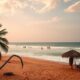 Notaries and Notary Fees in Senegal: Complete Guide
