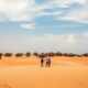 Real Estate in Senegal: The Dark Store Phenomenon