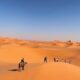 Legal Guide: Buying Agricultural Land in Morocco