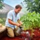 Thriving in Niue’s Tropical Climate as a New Resident