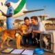 Expatriation with Pets in Gambia: Procedures and Practical Tips