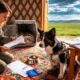 Expatriation with Pets in Mongolia: Procedures, Risks, and Practical Tips