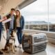 Moving to Iceland with Pets: Steps and Practical Tips