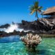 History of Niue: From an Isolated Rock to Shared Autonomy