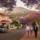 The Most Sought-After Neighborhoods for Expats in Cameroon