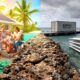Expatriating to Niue: Strengths, Limits, and Realities of Life on “The Rock of the Pacific”