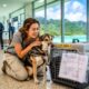 Moving to Palau with Your Pet: Complete Guide