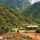 Working in Ecuador as an Expat: Understanding the Market and Seizing Opportunities