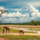 Expat Tips: Adapting to Madagascar’s Climate