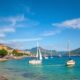 Expat Job Opportunities in Georgia’s Labor Market