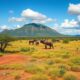 Healthcare for Expats in Madagascar